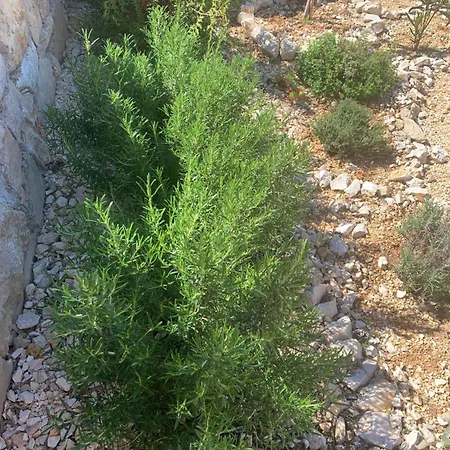 Parco vacanze Sun&moon