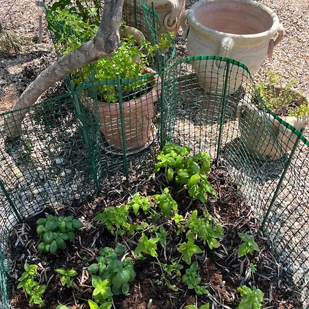 Sun&moon Parco vacanze Drage