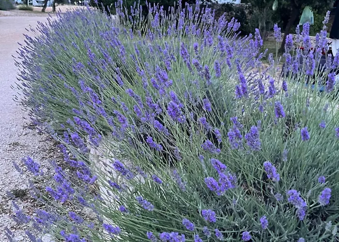 Sun&moon Πάρκο διακοπών Drage