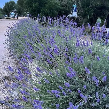 Sun&moon Üdülőpark Drage
