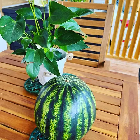 Üdülőpark Sun&moon *