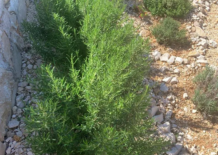 Kompleks wypoczynkowy Sun&moon