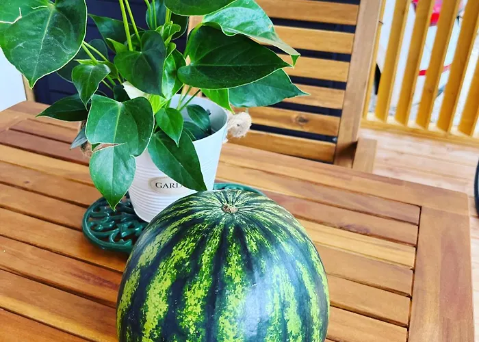 Kompleks wypoczynkowy Sun&moon *