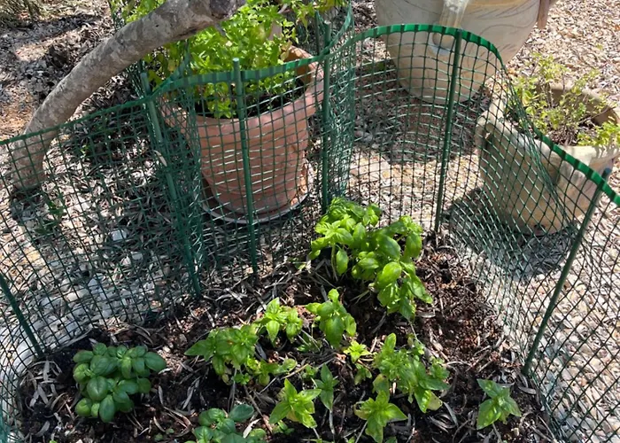 Sun&moon Kompleks wypoczynkowy Drage